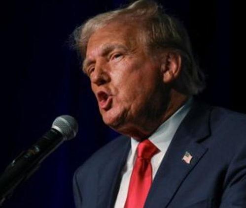 加州特朗普最新爆料,揭秘背后惊人真相！”