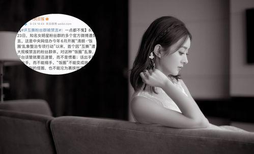 赵丽颖工作室最新爆料,揭秘XXX幕后故事