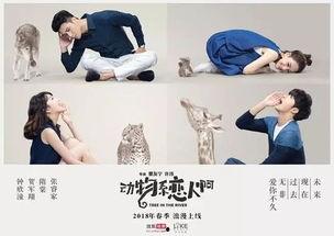 动物系恋人啊在线观看,一场跨越物种的浪漫奇遇  第2张